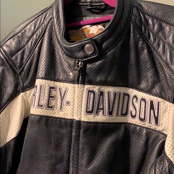 Jeff’s Bundle 2 - Picture 5 of 8